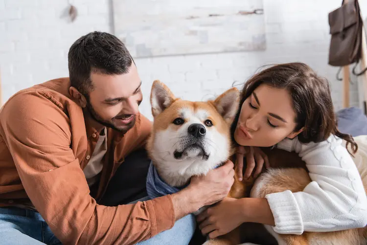 Mon chien peut-il tomber amoureux ?