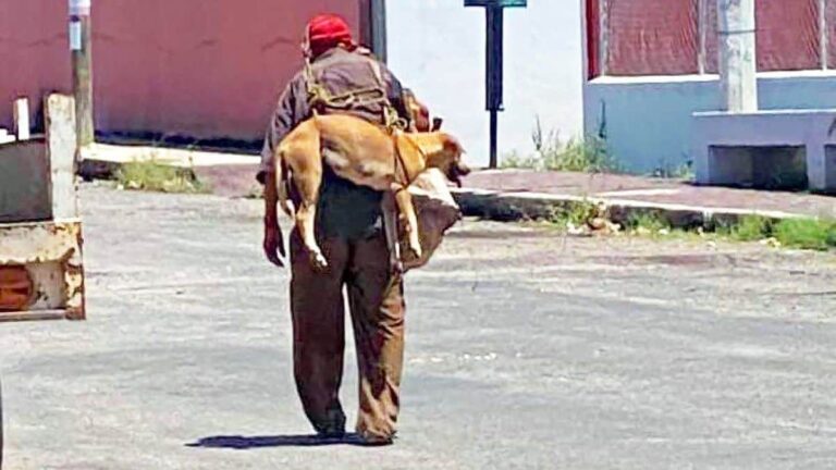 La photo est rapidement devenue virale sur les réseaux sociaux, témoignant de l'amour du grand-père pour son chien.