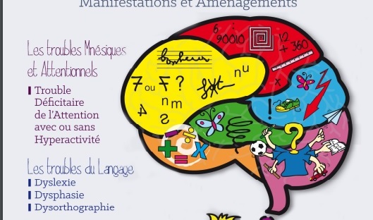 Dyslexie, dysorthographie, dyscalculie : mieux comprendre grâce à une vidéo explicative