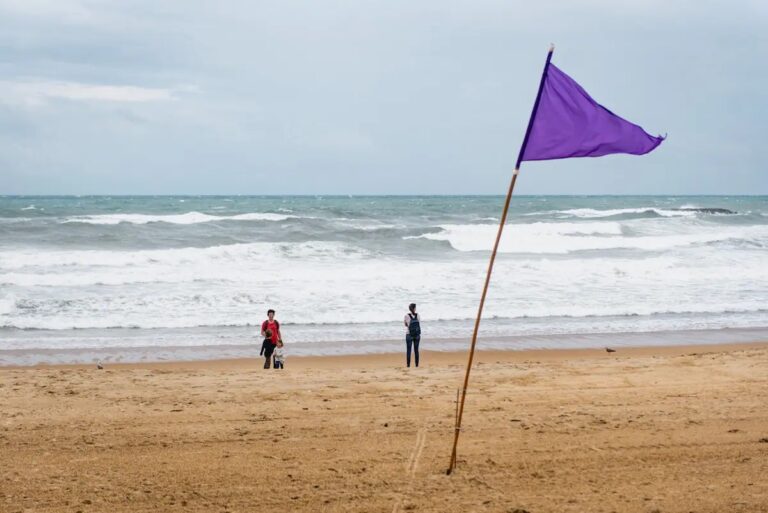 Quelle est la signification du drapeau violet à la plage ? ??️‍?