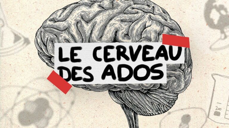 Jusqu’à quel âge le cerveau de l’adolescent est-il en construction ?