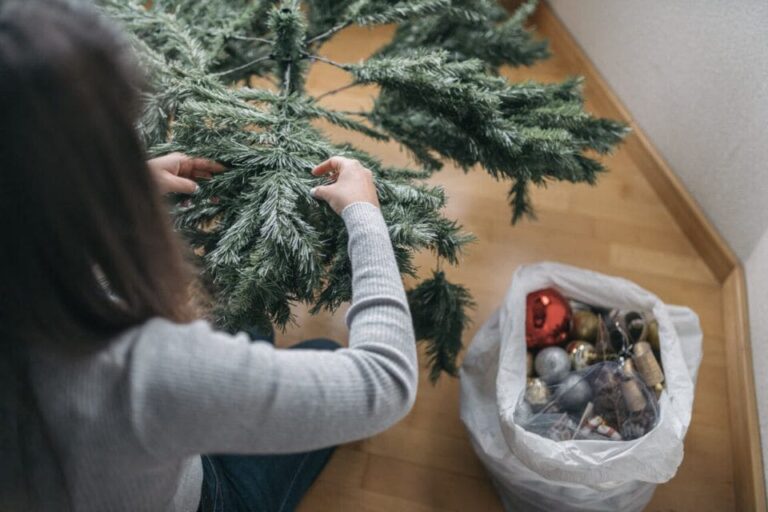 ? Quand faut-il vraiment retirer son sapin de Noël ?