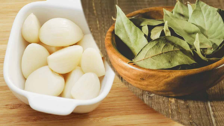 Le Secret de 7 Feuilles de Laurier et 7 Gousses d’Ail Dans une Bouteille