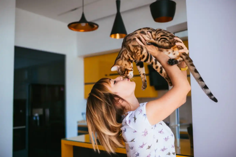 Les astuces les plus efficaces pour retrouver un chat perdu