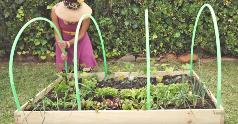 Comment construire sa propre mini-serre de jardin (DIY)