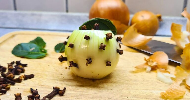 Pourquoi planter des clous de girofle dans un oignon ?