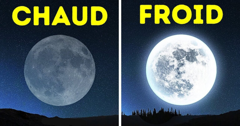 Les anciens signes de la nature qui permettraient de prévoir la météo
